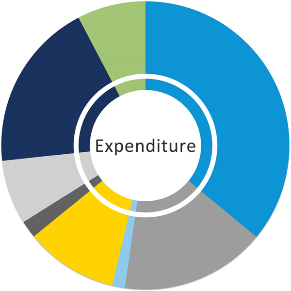 Expenditure pie chart