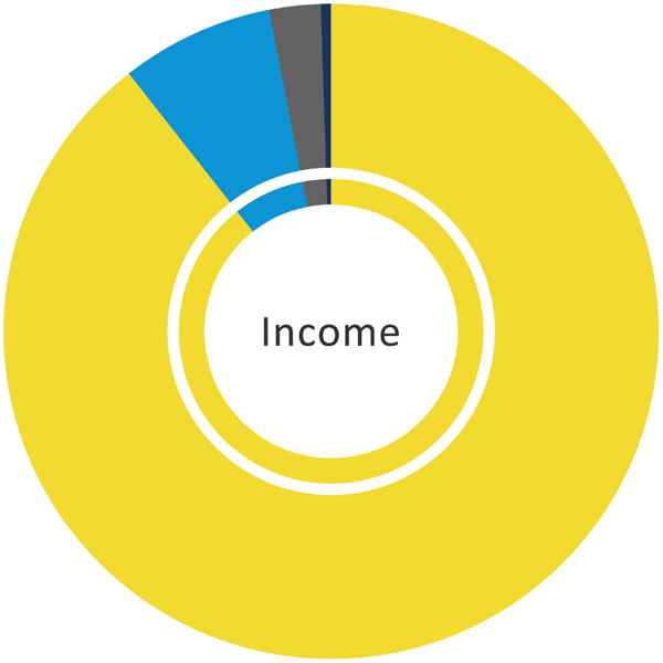 Income pie chart